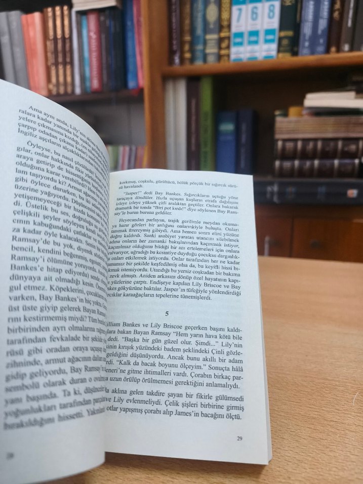 Virginia Woolf - Deniz Feneri - Görsel 5