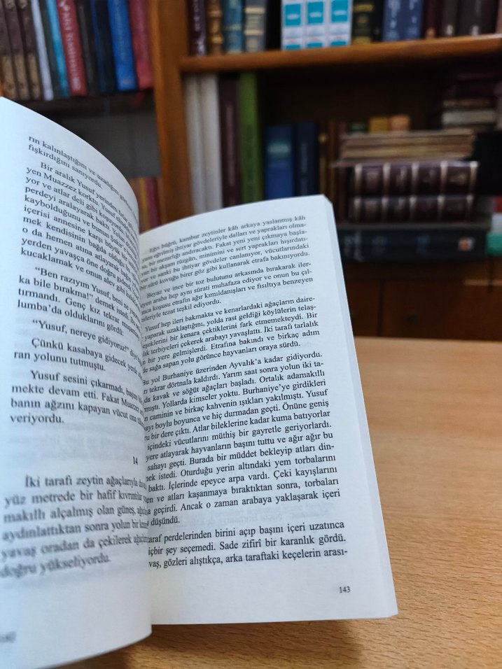 Kuyucaklı Yusuf - Sabahattin Ali - Görsel 3