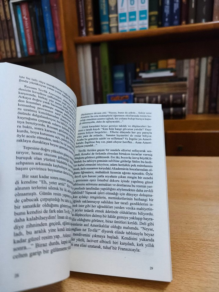 Sırça Köşk - Sabahattin Ali - Görsel 5