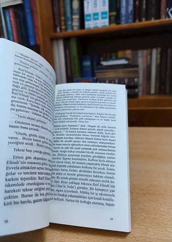 Kürk Mantolu Madonna - Sabahattin Ali - Görsel 5