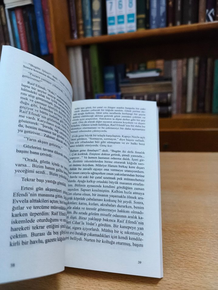 Kürk Mantolu Madonna - Sabahattin Ali - Görsel 5