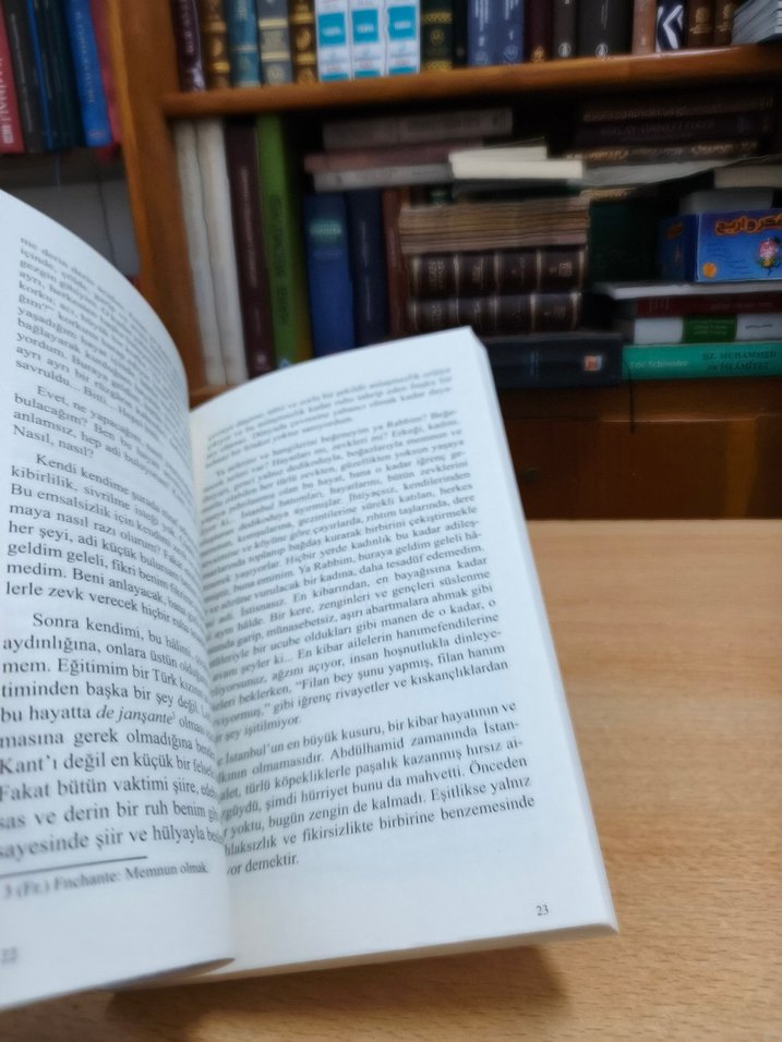 Genç Kız Kalbi - Mehmed Rauf - Görsel 4