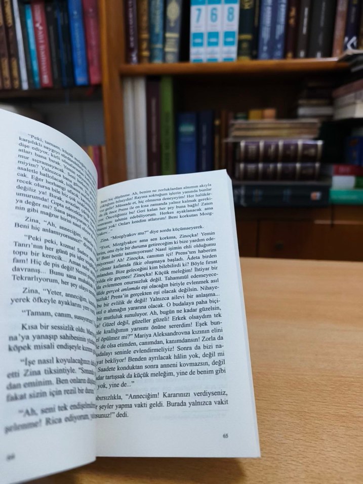 Amcanın Rüyası - Fyodor M. Dostoyevski - Görsel 4