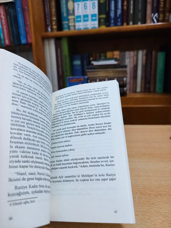 Aşka Dair - Halid Ziya Uşaklıgil - Görsel 4