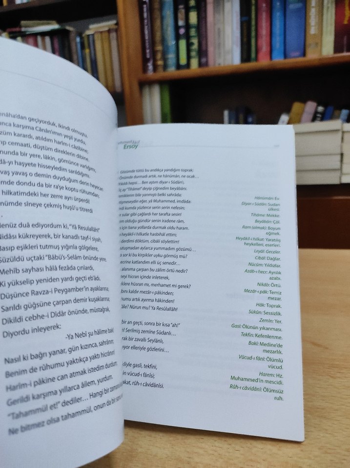 Genç Safahat - Görsel 4