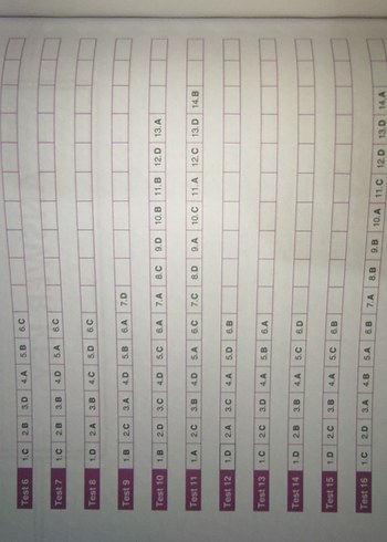 8. Sınıf Pro & Test İngilizce Soru Bankası - Görsel 2