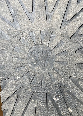 Siyah Süet Tokalı Kadın Dolgu Topuk Bot - Görsel 3