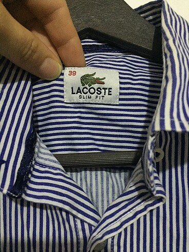 38 Beden mavi Renk Lacoste bayan gömlek