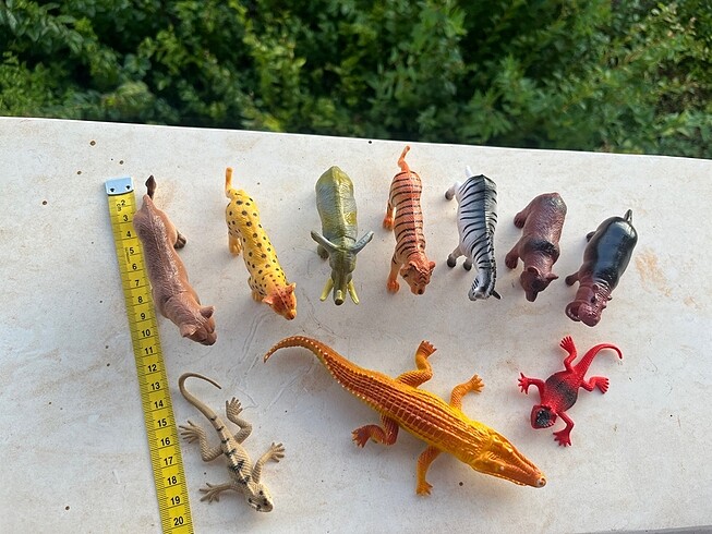  Beden Safari hayvanları seti
