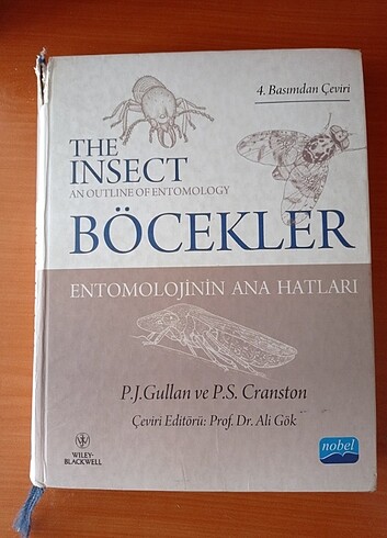 THE INSECT ( BÖCEKLER)