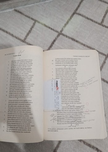 Tanzimat Edebiyatı 1 - Prof. Dr. Ali İhsan Kolcu - Görsel 6