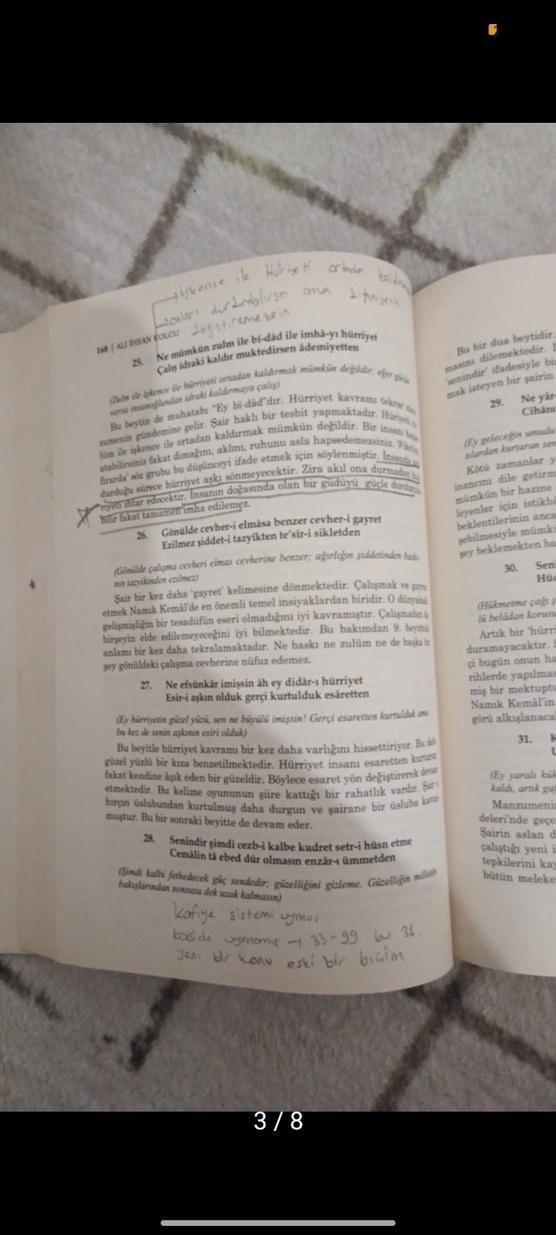 Tanzimat Edebiyatı 1 - Prof. Dr. Ali İhsan Kolcu - Görsel 2