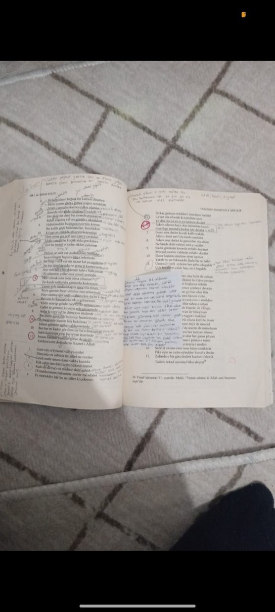 Tanzimat Edebiyatı 1 - Prof. Dr. Ali İhsan Kolcu - Görsel 5