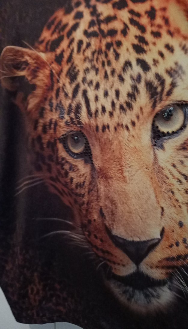 Kahverengi Leopar Desenli Kedi Kıyafeti - Görsel 2