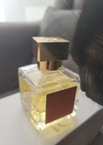 Maison Francis Kurkdjian Paris - Görsel 2