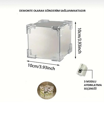 Diğer Demonte Sonsuz Lale Lamba Pembe
