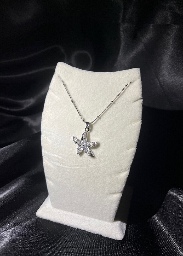 Gümüş Deniz yıldızlı Kolye - Görsel 2