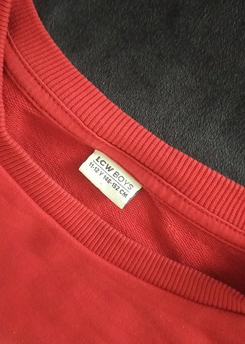 Erkek Çocuk Kırmızı Baskılı Sweatshirt - Görsel 2