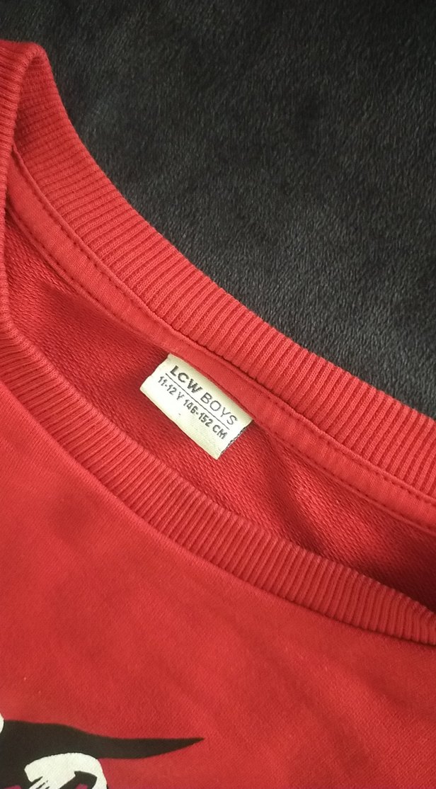 Erkek Çocuk Kırmızı Baskılı Sweatshirt - Görsel 2