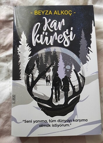 Kar tanesi / Kar küresi
