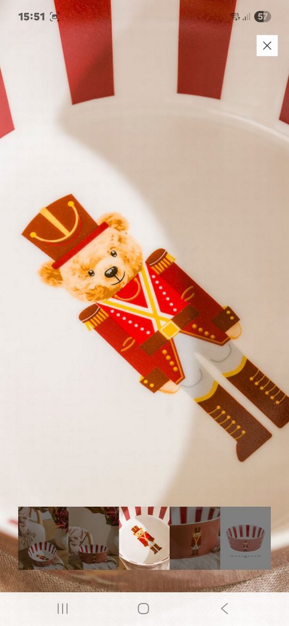 Kırmızı Çizgili Ayıcık Desenli Kase - Görsel 3