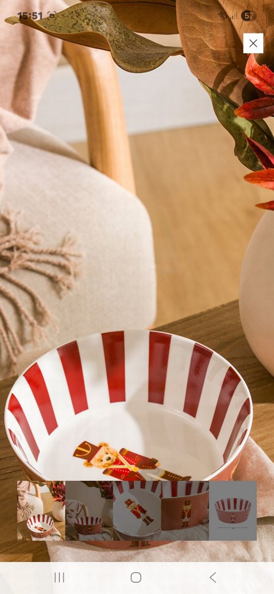 Kırmızı Çizgili Ayıcık Desenli Kase - Görsel 2