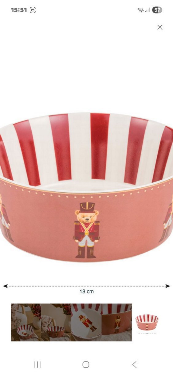 Kırmızı Çizgili Ayıcık Desenli Kase - Görsel 5