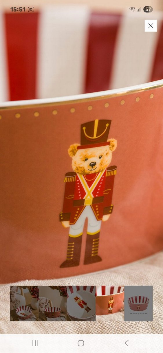 Kırmızı Çizgili Ayıcık Desenli Kase - Görsel 4