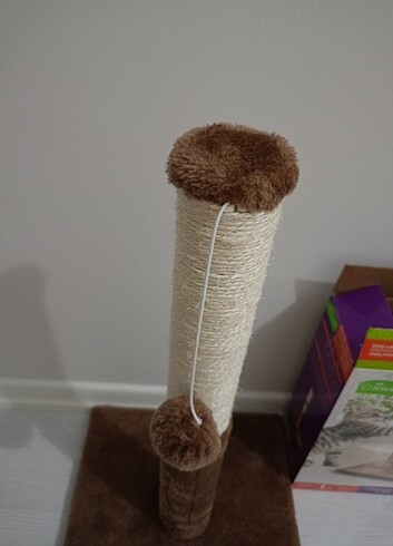Kedi tırmalama tahtası 