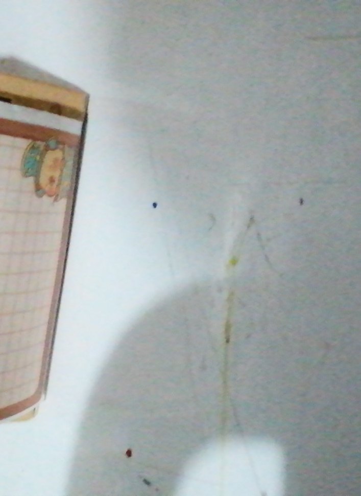 Capybaralı isim etiketi (5 adet) - Görsel 2