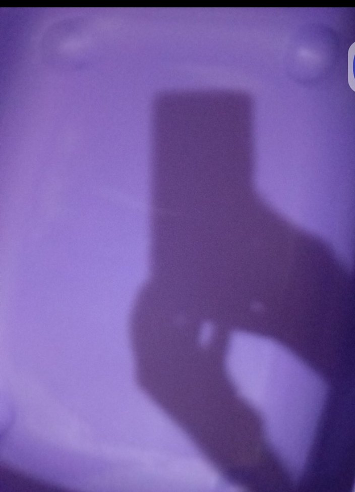 Mor Kapaklı kapalı Kedi Tuvaleti Kutusu - Görsel 4