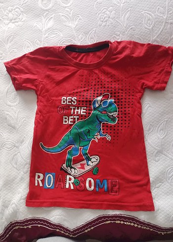 4/5 yaşa uygun dinozor baskılı Erkek Çocuk Tişörtü
