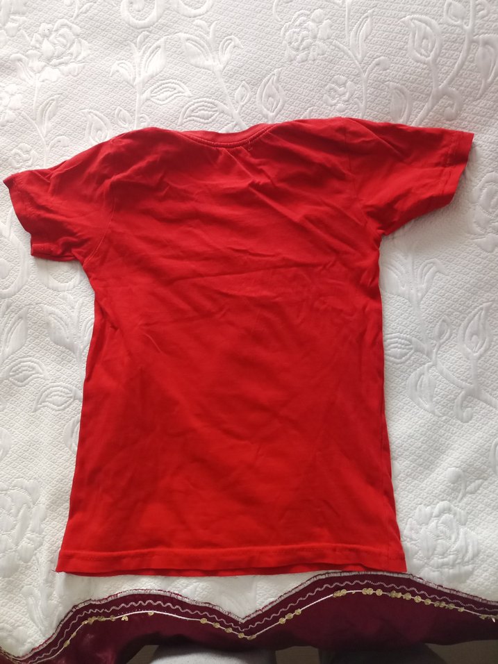 4/5 yaşa uygun dinozor baskılı Erkek Çocuk Tişörtü - Görsel 2