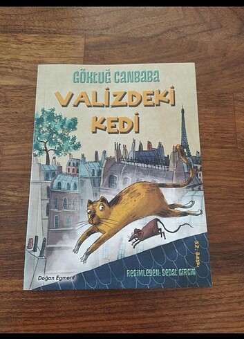 Valizdeki Kedi