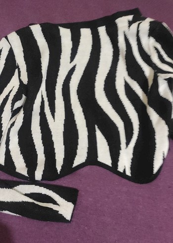 Siyah Beyaz Zebra Desenli Kedi Kıyafeti - Görsel 4