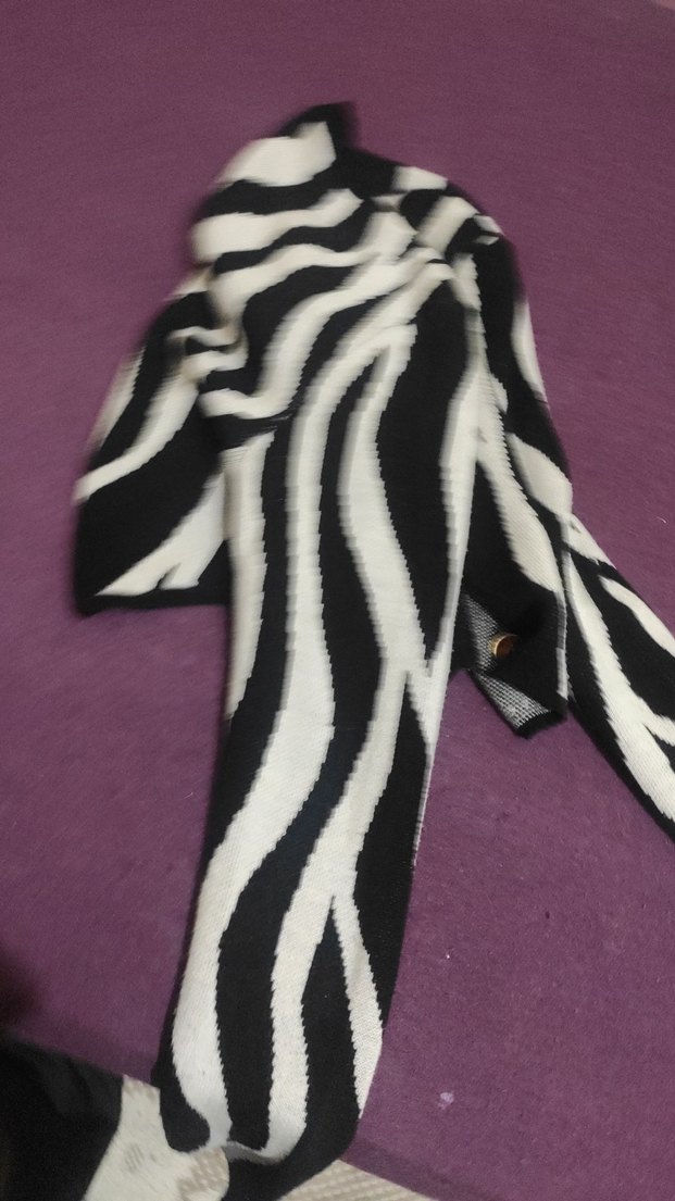 Siyah Beyaz Zebra Desenli Kedi Kıyafeti - Görsel 5