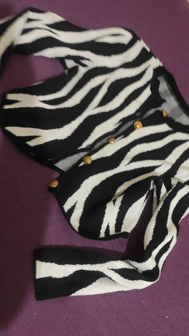 Siyah Beyaz Zebra Desenli Kedi Kıyafeti - Görsel 2