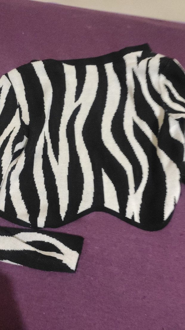 Siyah Beyaz Zebra Desenli Kedi Kıyafeti - Görsel 4