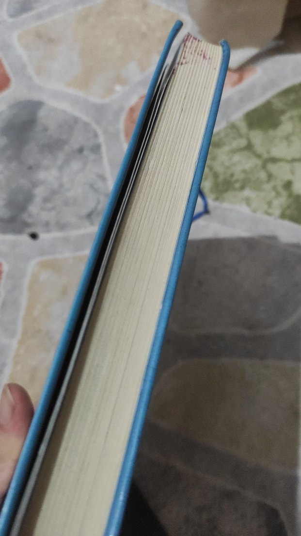 Safrtık Greg'in Günlüğü - Çocuk Kitabı - Görsel 3