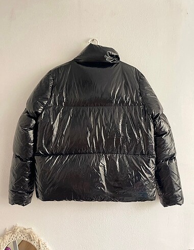 m Beden Tommy mont