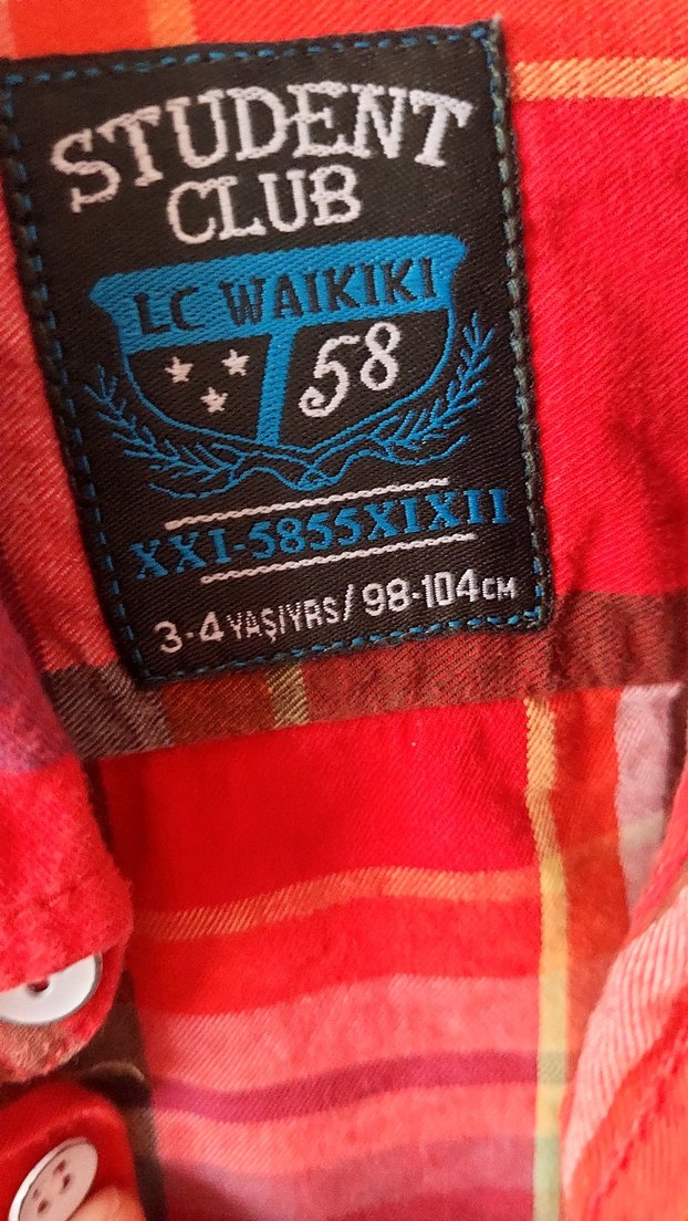 Renkli Ekose Desenli Erkek Gömlek - Görsel 2