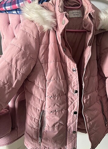 Lc Waikiki mont