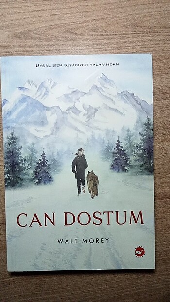 Can dostum