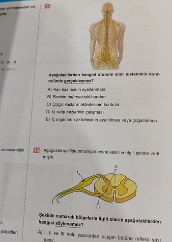 11. Sınıf Biyoloji Soru Bankası - Görsel 4