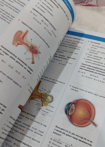 11. Sınıf Biyoloji Soru Bankası - Görsel 3