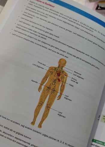 11. Sınıf Biyoloji Soru Bankası - Görsel 2