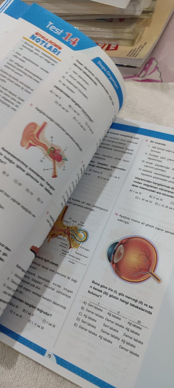 11. Sınıf Biyoloji Soru Bankası - Görsel 3
