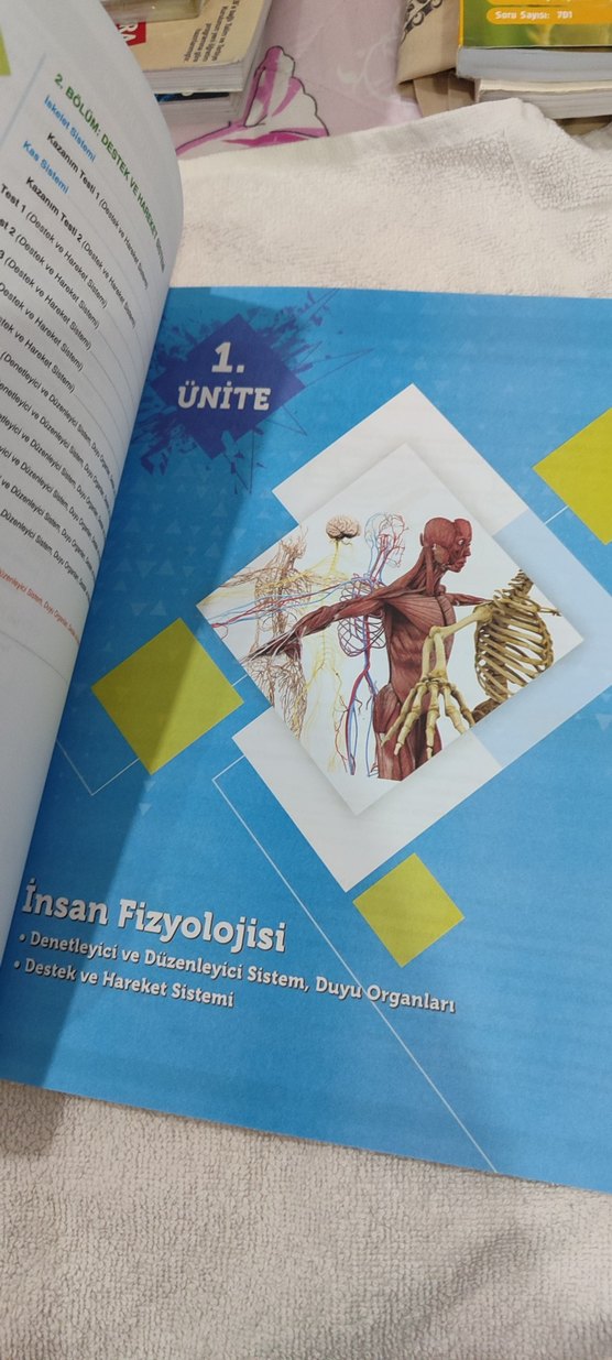 11. Sınıf Biyoloji Soru Bankası - Görsel 5