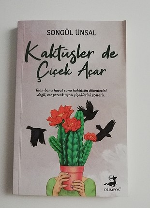 kaktüslerde çiçek açar 