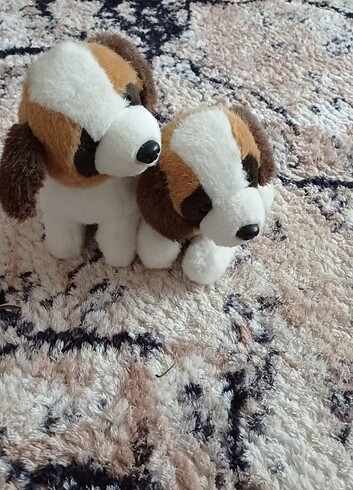 Pelus kopek